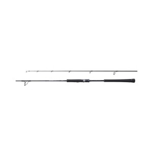 Shimano Kamış 20 Game Type Jigging Cast 1,83m 6'0" 250g 1+1pc