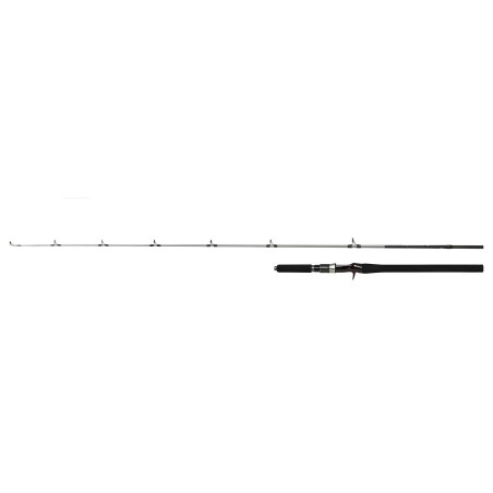 Shimano Kamış Speedmaster R Jigging Casting 1,83m 6'0" 180g 2pc