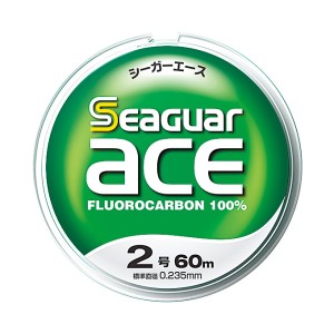 Seaguar Ace %100 Fluorocarbon Misina 60m