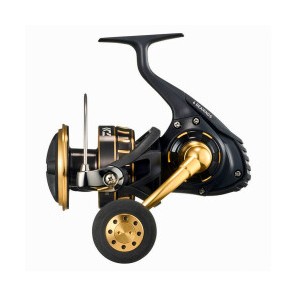 Daiwa 23 BG SW 8000P Makara