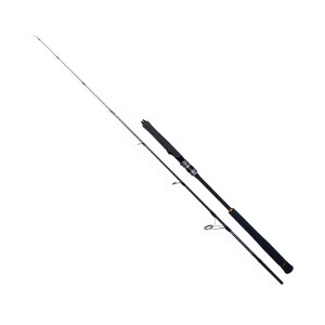 Ryuji Seawolf 1.80m 400-800gr 2P Jig Olta Kamışı